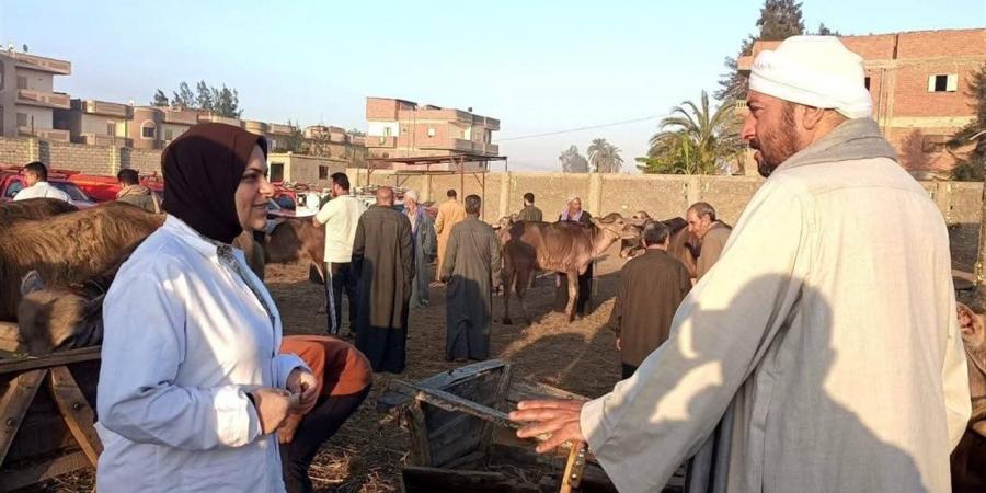 "بيطري الغربية" يُكثف حملات التقصي الوبائي في أسواق الماشية بالمحلة الكبرى