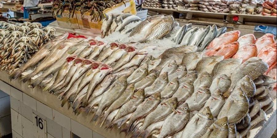 أسعار الأسماك في الغردقة اليوم الأحد 3 مايو 2026