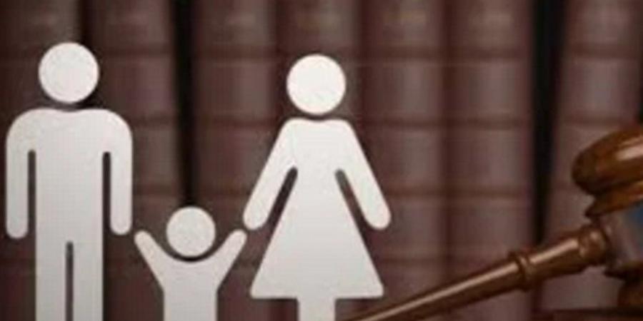 تفاصيل جديدة في مشروع قانون الأسرة.. ترتيب الحضانة واستمرار الحقوق بعد بلوغ الطفل