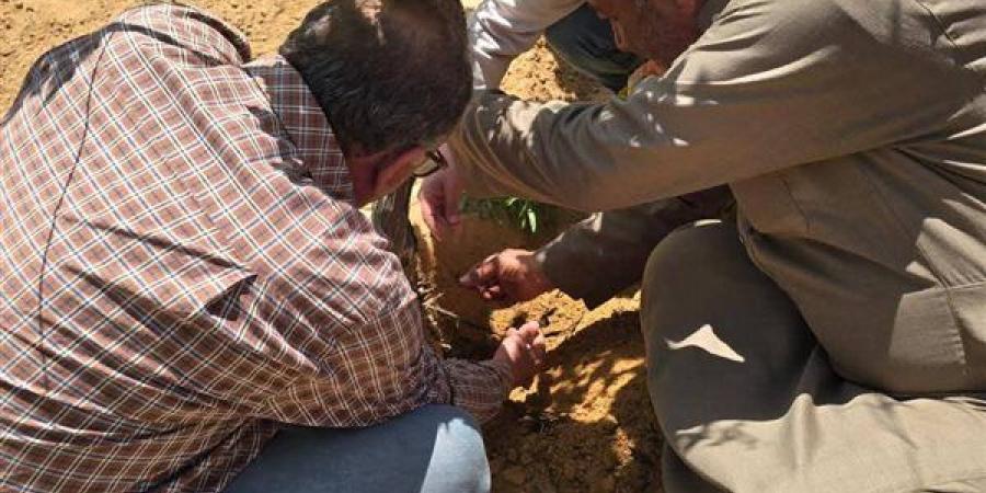 الزراعة تعلن حصاد أنشطة قطاع استصلاح الأراضي خلال الأسبوع الماضي