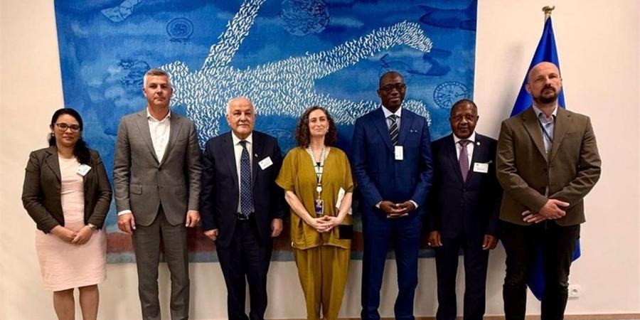 لجنة فلسطين بالأمم المتحدة تواصل جولاتها الأوروبية حول تحقيق حل الدولتين