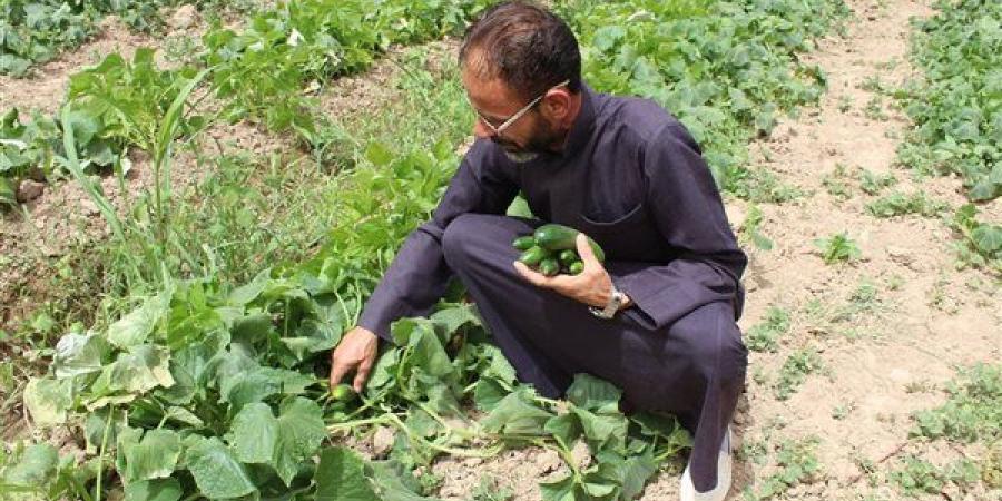 "الفاو" تتلقى 5 ملايين دولار من صندوق التمويل الإنساني لسوريا لدعم المزارعين