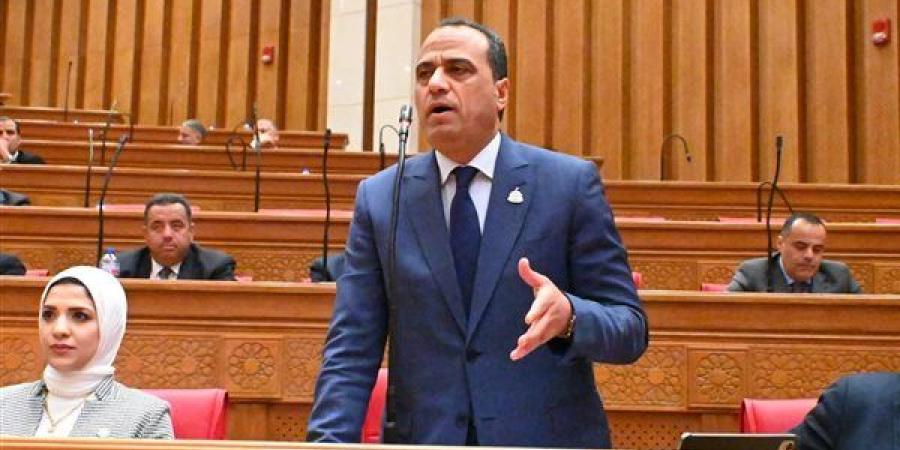 برلماني لـ"وزير النقل": نحذر من كارثة بسبب حالة الكباري في حوش عيسي بالبحيرة