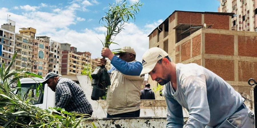 التنمية المحلية: توريد آلاف الشتلات للطريق الدائري والدقهلية ضمن مبادرة 100 مليون شجرة