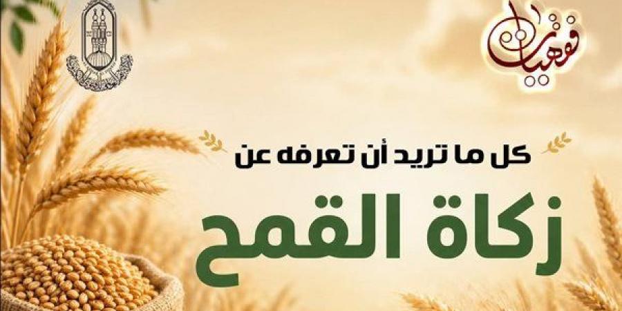 في موسم حصاد القمح.. تعرف على أهم أحكام زكاته