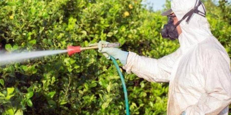 الزراعة: إجراءات صارمة لتسجيل وتداول المبيدات في مصر