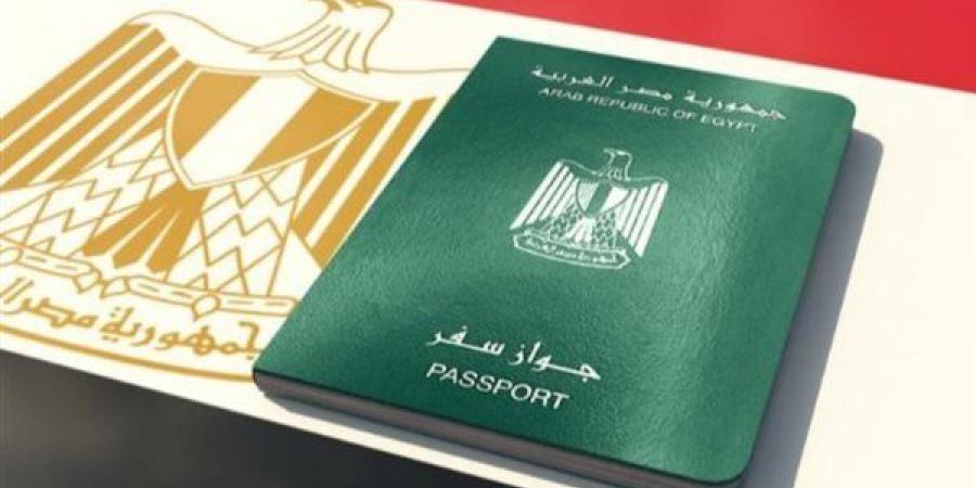 مطالب متصاعدة بين الشباب المصريين بالخارج لخفض سن الاستفادة من مبادرات التجنيد