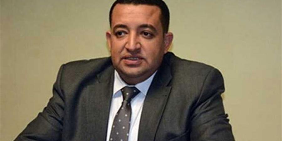 برلمانى: العلاقات المصرية الإماراتية ركيزة للاستقرار الإقليمى