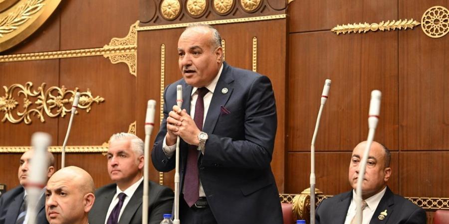 يرلمانى: مصر صمام أمان المنطقة.. واتصال الرئيس السيسي وبن زايد رسالة دعم واضحة