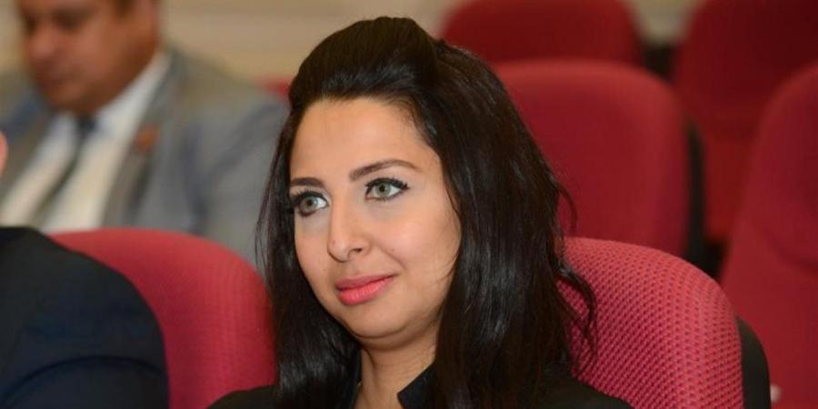 برلمانية: تعديلات قانون الأحوال الشخصية قابلة للتغيير داخل اللجان النوعية (فيديو)