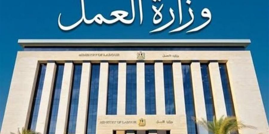 وزير العمل يُصدر قرارًا بتشكيل وحدة مركزية لتيسير أعمال المستثمرين