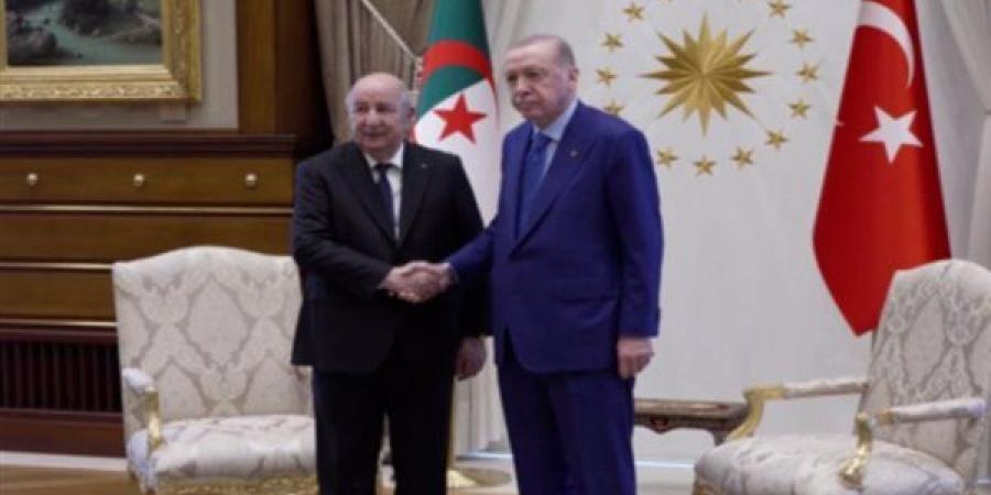 تبون يبحث مع أردوغان التطورات في الخليج والشرق الأوسط