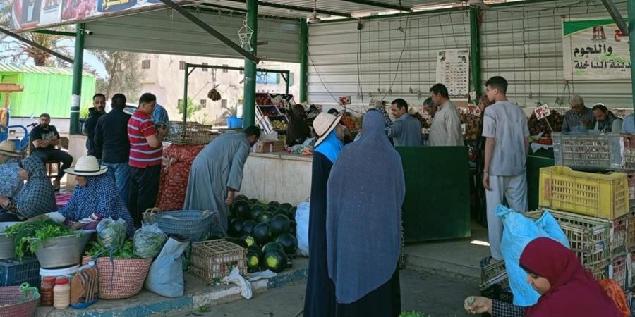 منافذ بيع حكومية توفر سلع غذائية بأسعار مخفضة لمواطنى الوادي الجديد