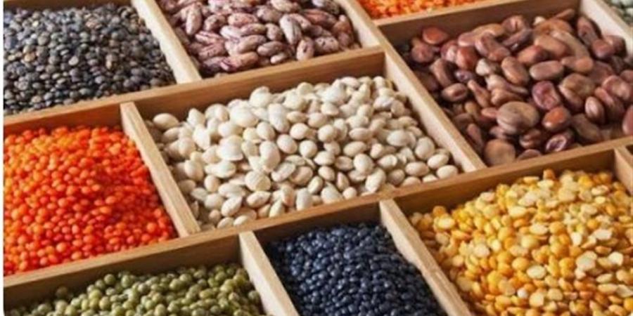 أسعار البقوليات والحبوب بأسواق الوادي الجديد اليوم الخميس