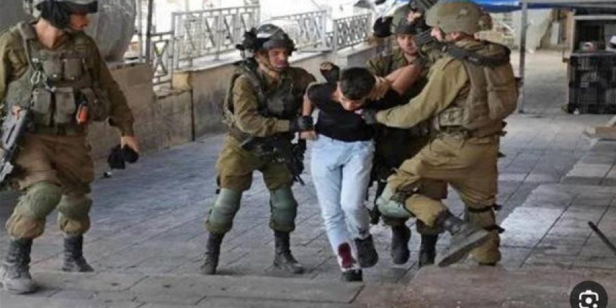 الإحتلال الإسرائيلي يعتقل فلسطينيا شمال طوباس