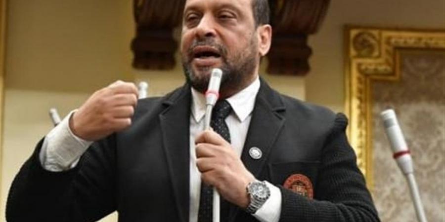 برلماني يدعو لتوطين الصناعات الموجهة للتصدير