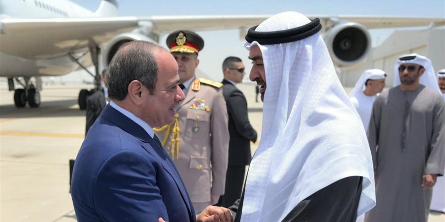 خبير علاقات دولية: هناك قيم سياسية مشتركة بين مصر ودول الخليج