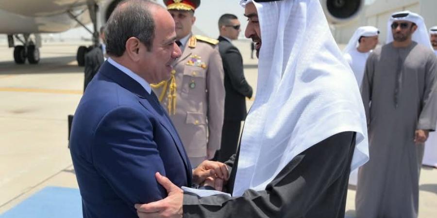 داليا البيلي: "مسافة السكة" تحولت إلى واقع عملي خلال جولة السيسي الخليجية