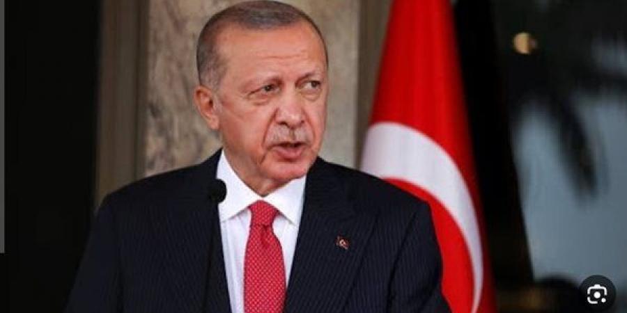 أردوغان يؤكد دعم تركيا للإمارات جراء الهجمات الإيرانية