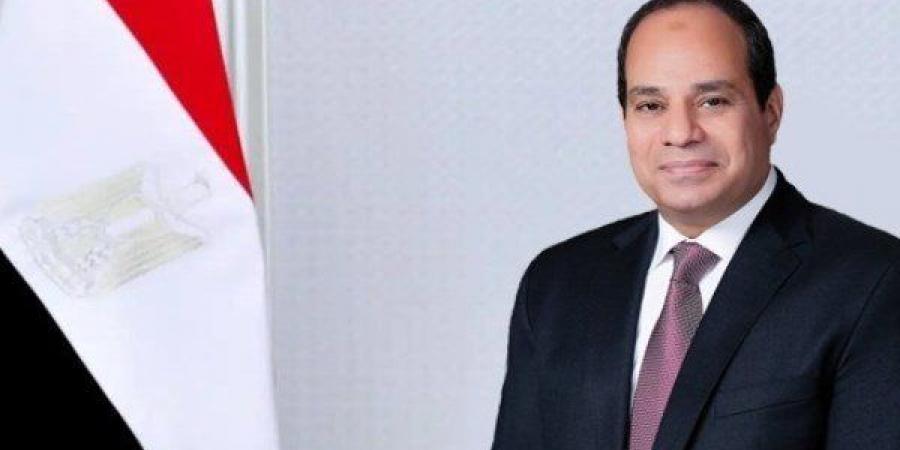 السيسي: مصر ترفض المساس بسيادة الدول العربية