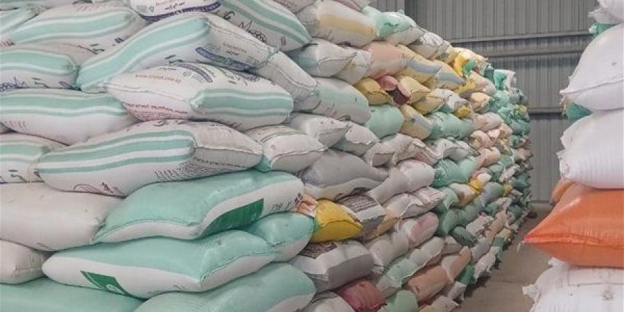 إرتفاع معدلات توريد القمح المحلي بمحافظة البحيرة