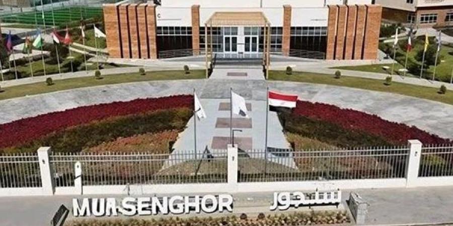 خبرة مهنية.. شروط التقديم للدراسة في جامعة سنجور
