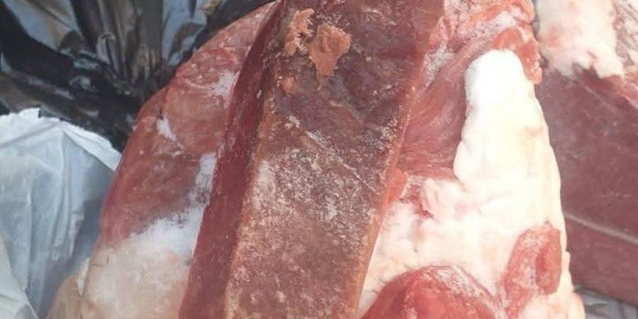 ضبط 5 أطنان لحوم مجمدة فاسدة قبل بيعها بالفيوم