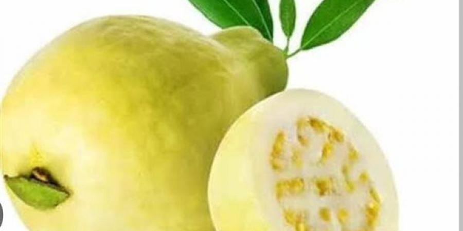 الجوافة.. فاكهة غنية بالعناصر الغذائية وفوائد صحية تدعم المناعة والقلب
