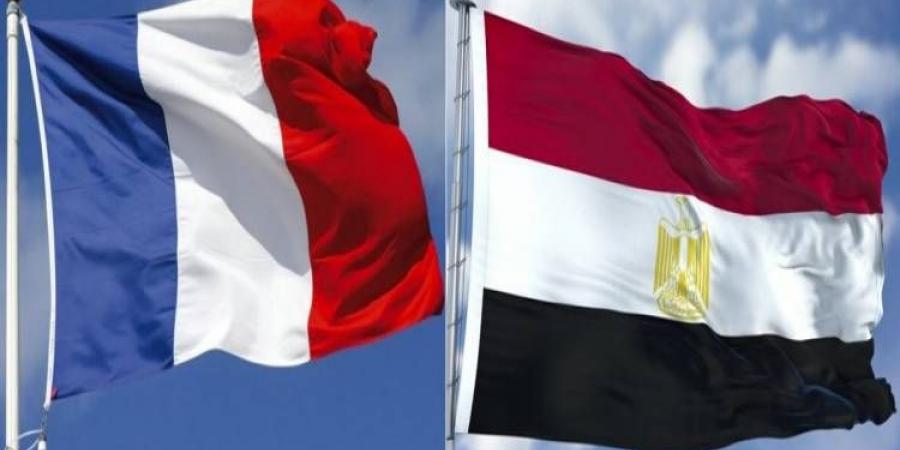 مصر وفرنسا تبحثان تعزيز التعاون الثقافي على هامش قمة برج العرب