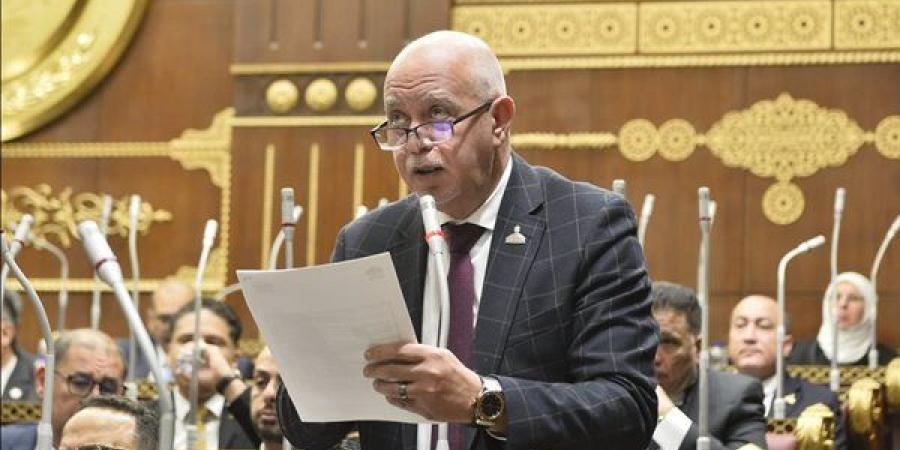 أزمة قصر ثقافة طنطا أمام لجنة الثقافة بالشيوخ غدا.. والنائب حازم الجندي يطالب بمقر دائم