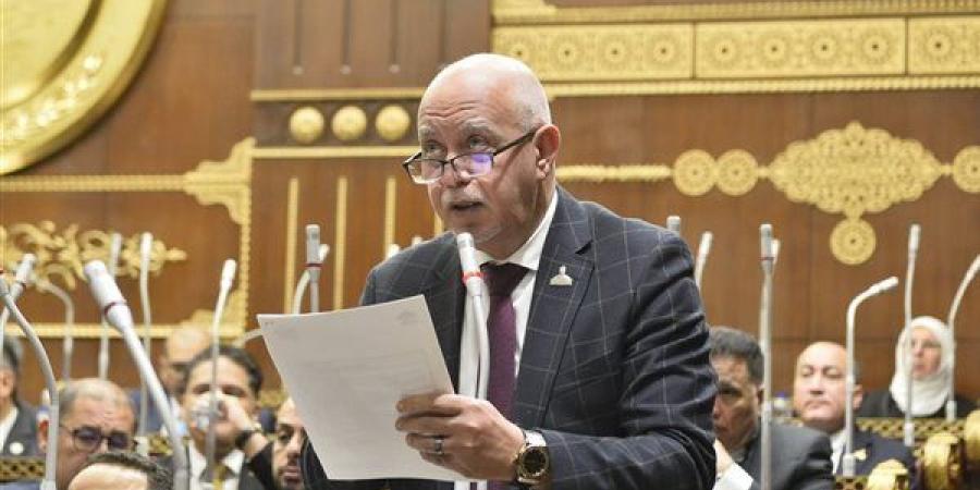 بناءَ على طلب النائب حازم الجندي..مجلس الشيوخ يوافق على حل أزمة قصر ثقافة طنطا
