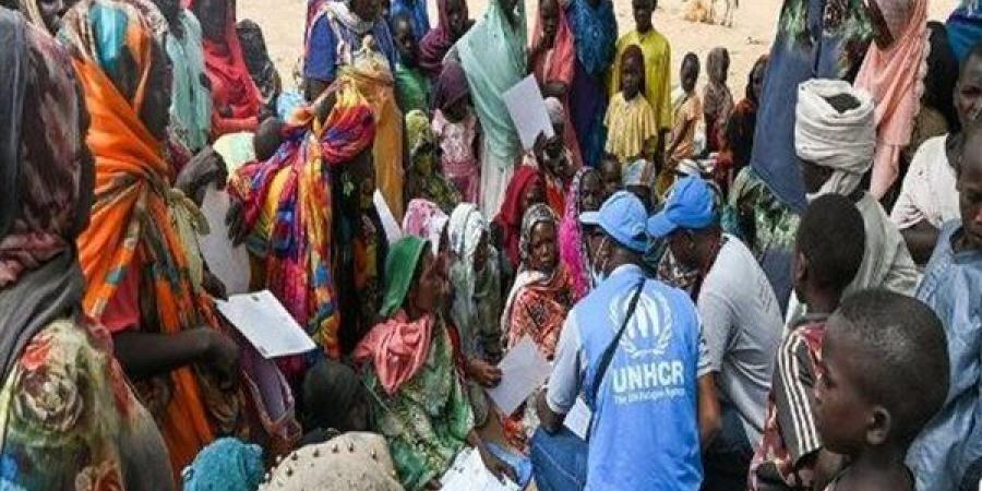 المنظمة الدولية للهجرة: 4650 شخصا نزحوا من محافظة الكرمك السودانية