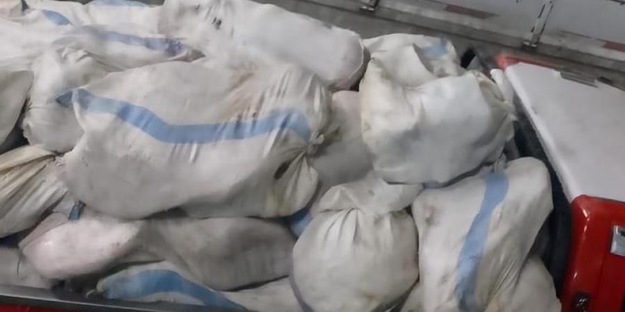 ضبط 25طن لحوم منتهية الصلاحية بكفر الدوار