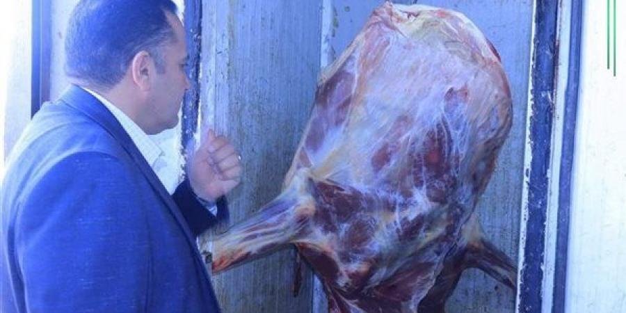بيطري الشرقية يكثف حملاته التفتيشية علي المجازر الحكومية