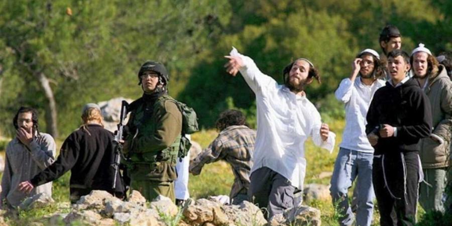 الاتحاد الأوروبي: من المتوقع الموافقة على فرض عقوبات على المستوطنين الإسرائيليين