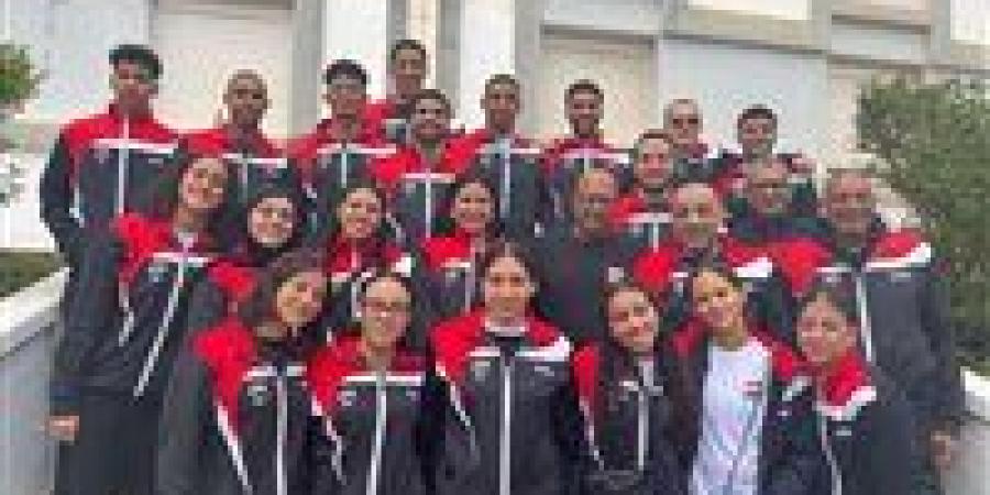 عودة مجلس اتحاد السباحة المنتخب تعيد الإنجازات القارية لمصر