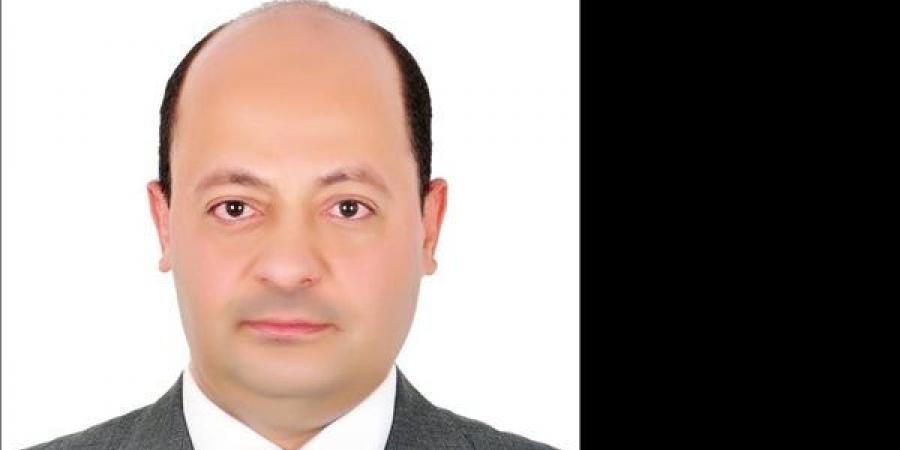 تعيين سعيد عرفه مساعدًا لوزير الاستثمار لشئون العقود