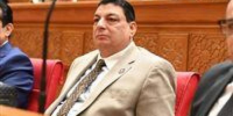 سامي نصر الله: لقاء السيسي وغوتيريش يعكس ثقل مصر الدولي ودورها المحوري في دعم استقرار المنطقة