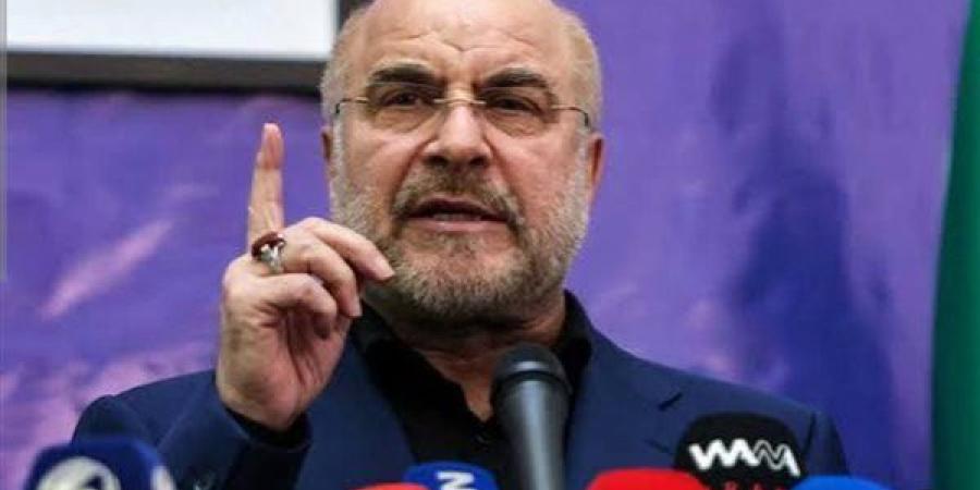 رئيس البرلمان الإيراني: لا بديل عن قبول حقوقنا