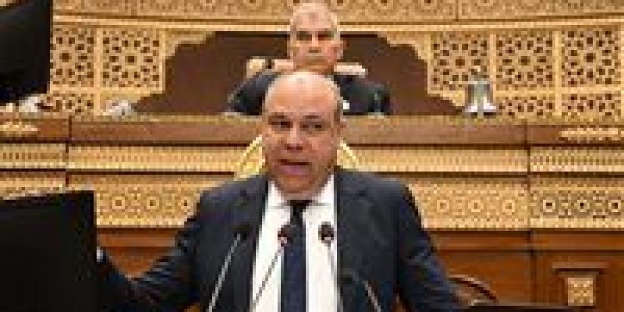 وزير الطيران أمام الشيوخ: مصر للطيران لا تستهدف تصنيف الـ5 نجوم عالميًا