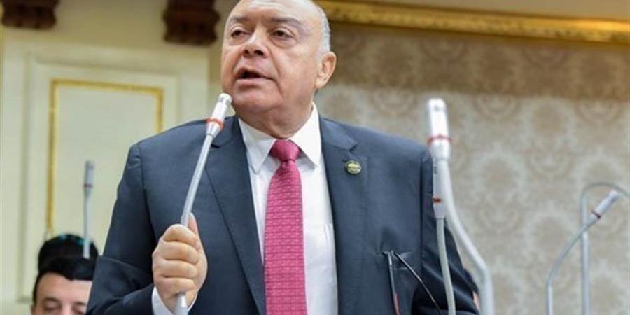 وحيد قرقر: قناة السويس شريان اقتصادي استراتيجي ومصدر رئيسي للنقد الأجنبي