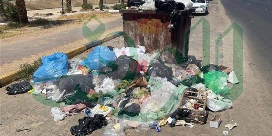 الغردقة بين “صورة السائح” وشكاوى السكان.. القمامة تكشف أزمة داخل منظومة النظافة