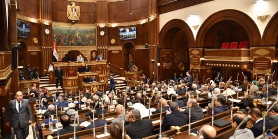 مجلس الشيوخ يرفض رفع حصانة عن نائب بعد التوصل إلى صلح في قضية مواريث