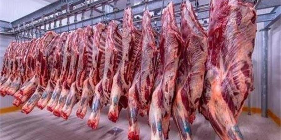 تراجع الضغوط السعرية يدعم استقرار أسعار اللحوم الحية بالأسواق