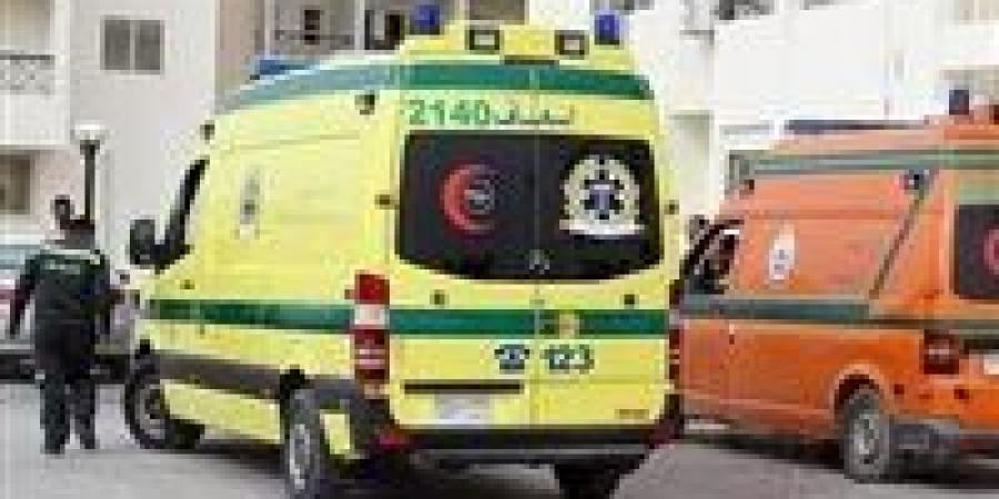 مصرع شاب وإصابة 3 آخرين في تصادم تروسيكلين بطريق اللاهون بالفيوم