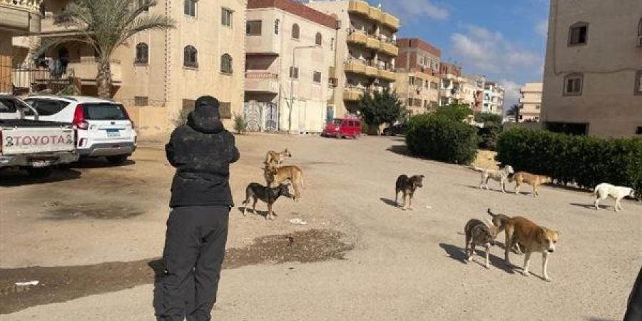 «صوت المواطن أولاً».. مبادرة للاستجابة الفورية للشكاوى عبر منصات التواصل