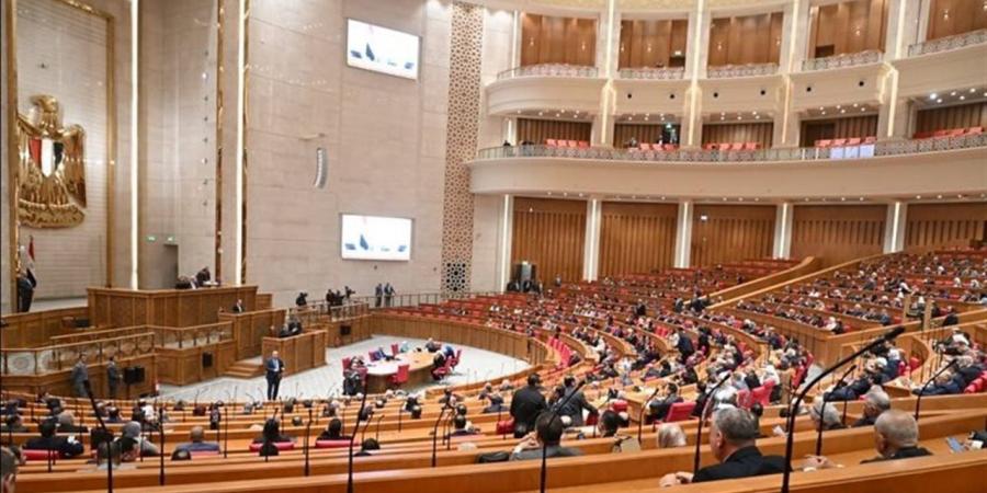 "لجنة التضامن" بمجلس النواب تناقش الموازنة الجديدة للوزارة بحضور مايا مرسى