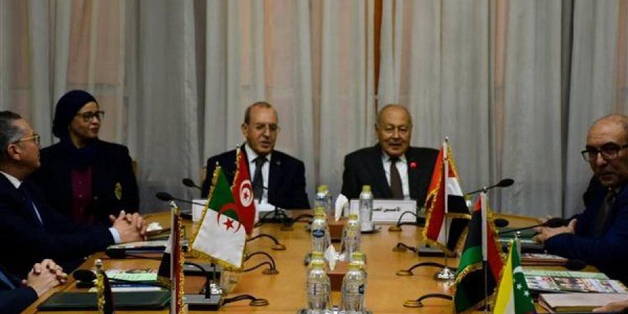 أبو الغيط يترأس اجتماع مجلس إدارة الصندوق العربي للمعونة الفنية.. ويشدد على دعم الحضور العربي بالقارة