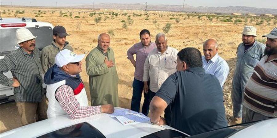 الزراعة تواصل دعم مزارعي التجمعات التنموية بوسط سيناء ضمن جهود بحوث الصحراء