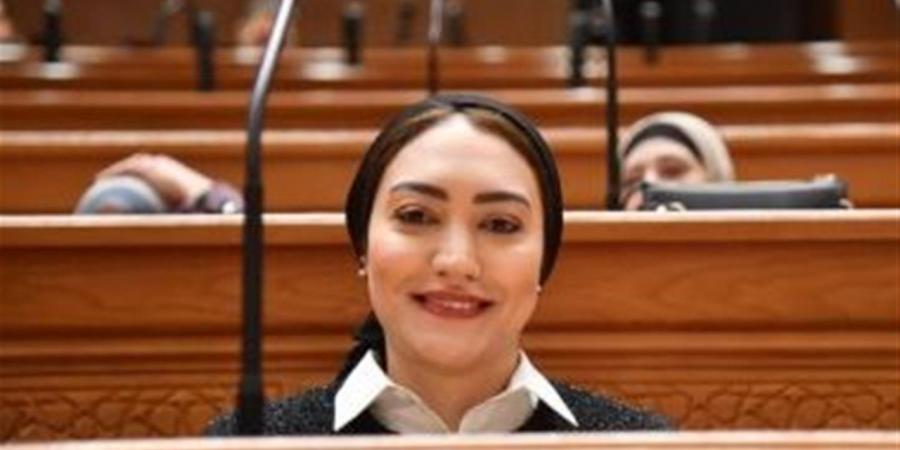 مقترح برلماني بإلزام تطبيق إنستا باي والمحافظ الإلكترونية بإظهار الاسم رباعيا للمحول إليه